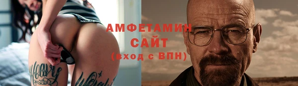 шишки Нея