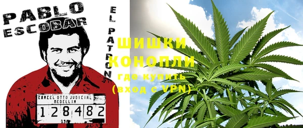 шишки Нея