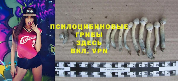 гашик Наволоки
