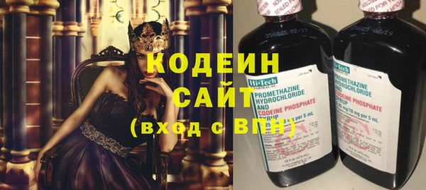 шишки Нея