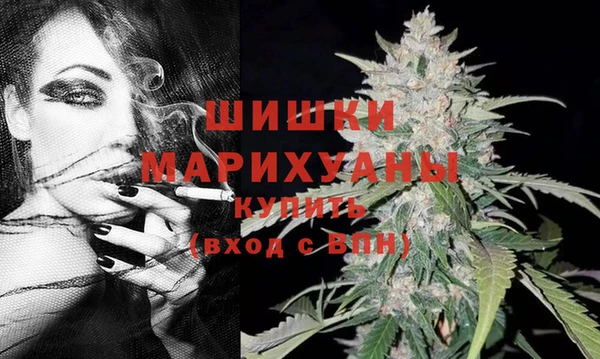 шишки Нея