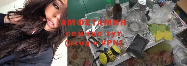 шишки Нея